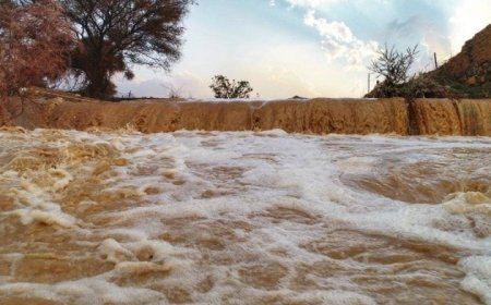 انقاذ شخص من فوق عمود كهربائي حاصرته مياه الوادي بالطارف    