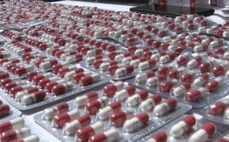 حجز أزيد من 6500 قرص مهلوس بحوزة مسبوقين قضائيا بباتنة