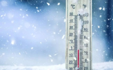 موجة برد شديدة على العديد من ولايات الوطن