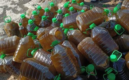 باتنة:  اتلاف كمية من زيتون الزيتون اثبتت التحاليل عدم صلاحيتها للاستهلاك البشري