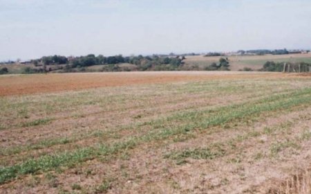 منتجو الحبوب والخضروات يستبشرون خيرا بالأمطار الاخيرة المتساقطة على ولاية عنابة 