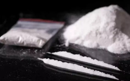 حجز كمية من الكوكايين موجهة للترويج بباتنة