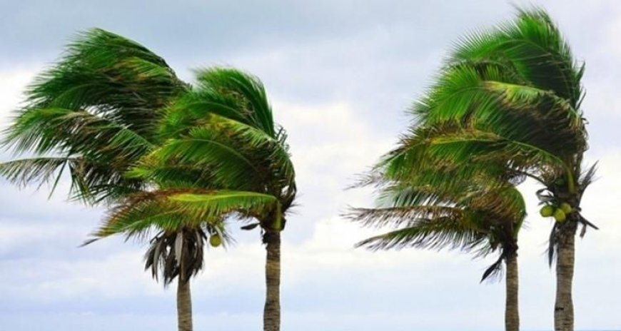 رياح قوية تجتاح شرق البلاد والأرصاد الجوية تدعو للحذر