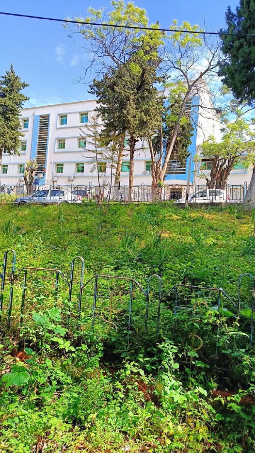 اطارات بالقطاع الصحي بالقل في سكيكدة يهددون بالتصعيد   ع