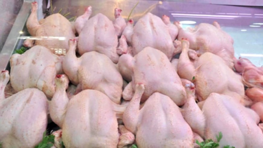 تراجع محسوس في أسعار اللحوم البيضاء بقالمة