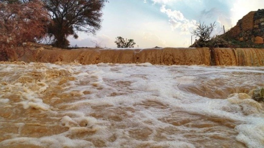انقاذ شخص من فوق عمود كهربائي حاصرته مياه الوادي بالطارف    