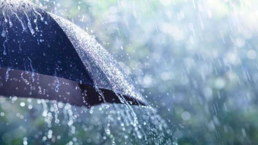 تساقط أمطار رعدية وهبوب رياح قوية على العديد من ولايات الوطن