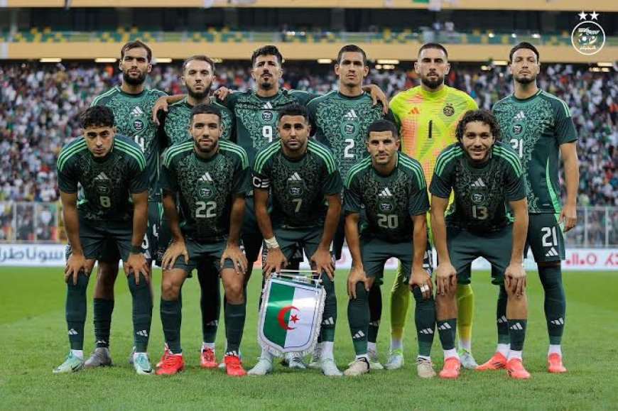 الخضر ينهون سنة 2024 بذكريات ممزوجة بين الحزن والفرح  
