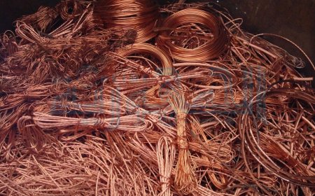 عصابات منظمة لسرقة كوابل الانترنات بالحجار 