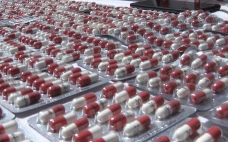 ضبط 2.4 مليون كبسولة من المؤثرات العقلية