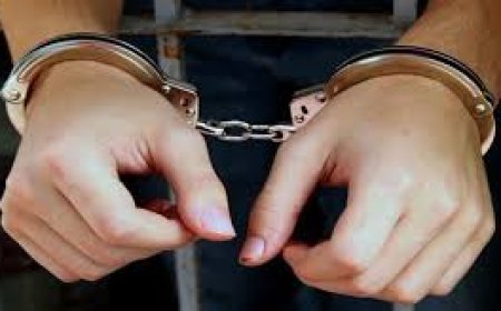 توقيف "طبيبة مزيفة" وحجز 87 مليون سنتيم من عائدات نشاطها