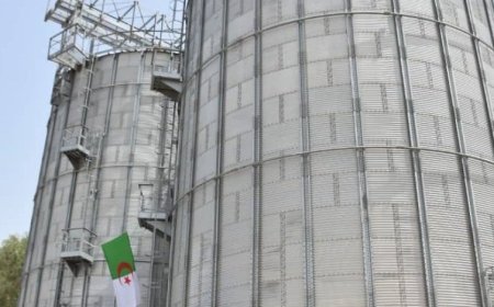 والي ولاية قالمة تستقبل وفدًا رفيع المستوى يمثل مؤسسة الإنجاز التابعة للمجمع الصيني CR_GL