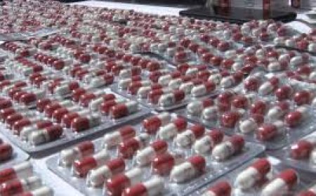 شرطة المسيلة تحجز  3500 كبسولة من المؤثرات العقلية وتوقف مروجيها