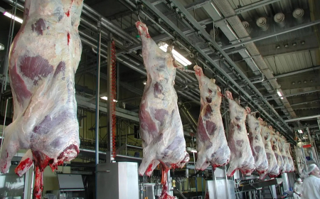 إكتشاف مستودع  سري لذبح وتسويق لحوم الأبقار غير الخاضعة للرقابة   بجيجل