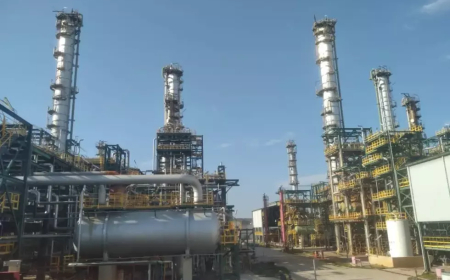  تنصيب 5000 عامل خلال سنة 2025 بجيجل  