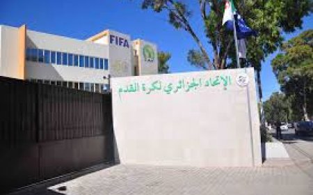 تحديد موعد انتخابات رئاسة الاتحادية الجزائرية لكرة القدم