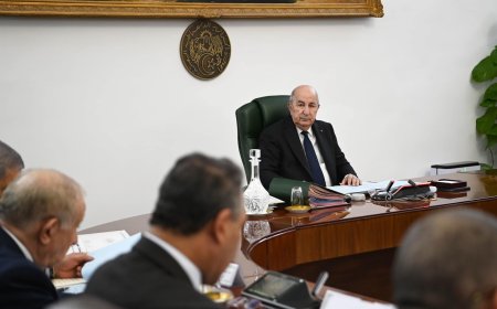 مجلس الوزراء يصادق على تمديد عطلة الأمومة