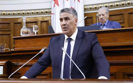 بلعريبي: الشروع في مراقبة دورية للسكنات لوضع حد لظاهرة التغييرات العشوائية