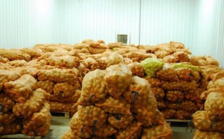  وزارة الفلاحة تسعى لإيجاد آليات لإنشاء غرف تبريد بالمستثمرات الفلاحية  