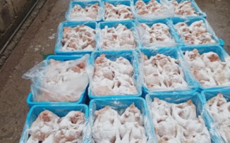 حجز قرابة 08 قناطير من اللحوم البيضاء الفاسدة ببجاية