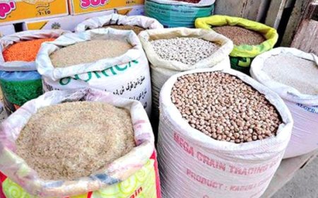 تخصيص 600 نقطة بيع مباشرة البقول الجافة في رمضان