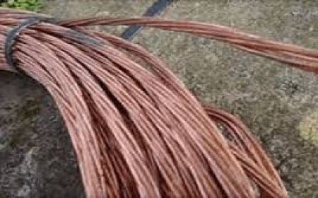 القبض على 5 أشخاص متلبسين بسرقة كوابل نحاسية بالحجار    