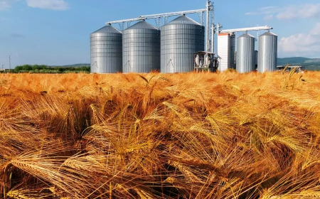 قدرات صوامع تخزين الحبوب ستبلغ نحو 5 ملايين طن