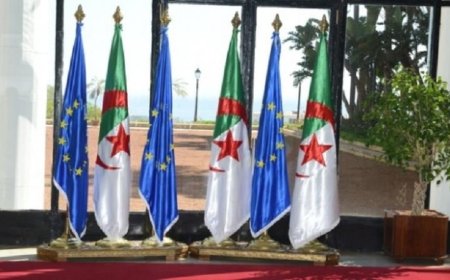 رئيس الجمهورية: معطيات اقتصادية واقعية تفرض مراجعة اتفاق الجزائر والاتحاد الأوروبي