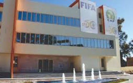 انعقاد اشغال الجمعية العامة العادية للفاف يوم السبت المقبل