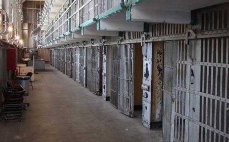 إدانة مضارب في مادة التفاح بـ 07 سنوات سجنا بباتنة