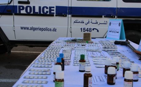 حجز 1457قرصا من المؤثرات العقلية بسكيكدة