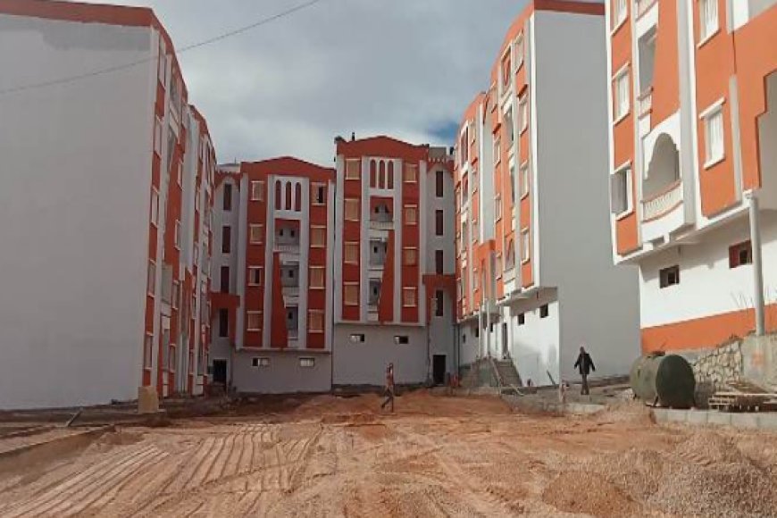 عنابة: مديرية السكن تتفقد  مشاريع سكنية في طورالانجاز بمختلف للصيغ