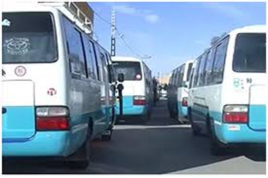 نحو حل مشكلة النقل بين بلديتي سكيكدة و فلفلة  