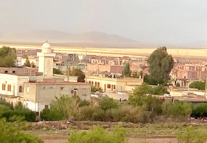 ربع برتقالة للتلميذ يثير استياء أولياء تلاميذ مدرسة زكار الكواشية بباتنة