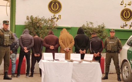 الإطاحة بعصابة تعتدي على الثروة الغابية بتبسة