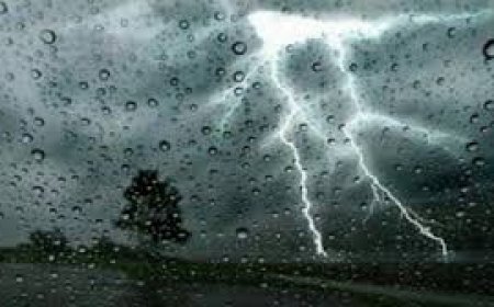 أمطار رعدية على عدة ولايات من الوطن
