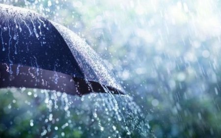 أمطار على عدة مناطق من الوطن