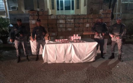 حجز أكثر من 439 ألف كبسولة مهلوسة بتبسة