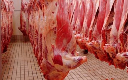 عنابة:  1900 طن من اللحوم الحمراء المستوردة ستضخ بالأسواق المحلية في رمضان    