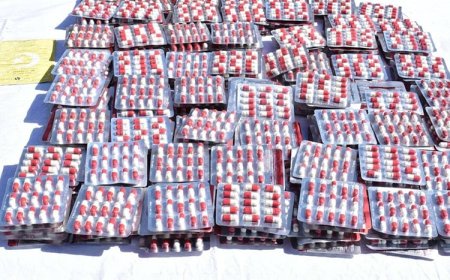 برج بوعريريج ; تفكيك شبكة إجراميةمن ثلاثة أشخاص وحجز 4050 قرص مهلوس