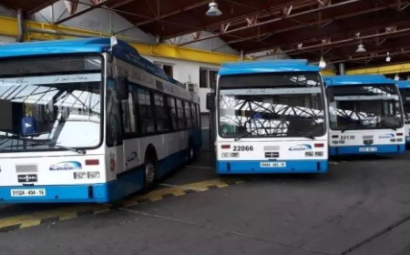 برنامج استيراد 10 آلاف حافلة: استلام أول شحنة بميناء الجزائ