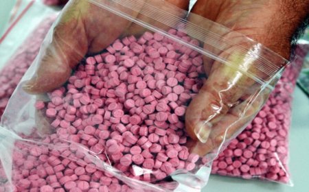 تفكيك شبكة لترويج المؤثرات العقلية على مستوى محطة نقل المسافرين بتبسة