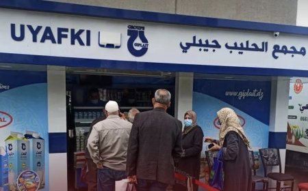 تعميم تسويق حليب البقر المدعم بمختلف الملبنات