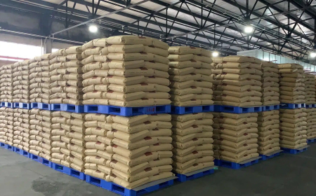 شراكة جزائرية اسبانية لإنتاج "الراتنج" متعدد الاستعمالات