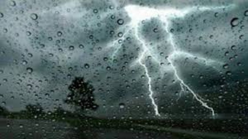 أمطار رعدية على عدة ولايات من الوطن