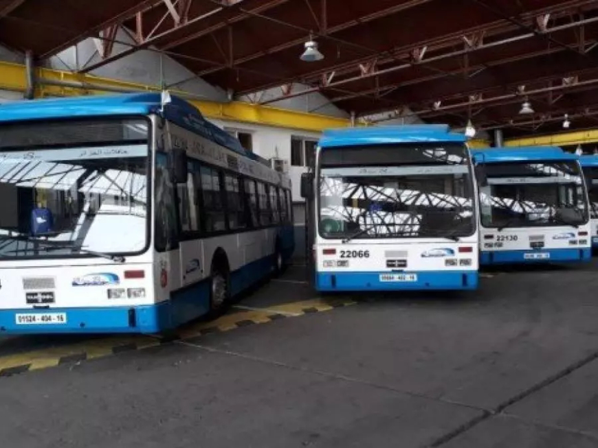 908 حافلة جديدة تسلم بولايتي الجزائر ووهران