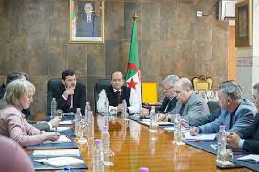 التحضير لإطلاق مركزي امتياز  متخصصين في النسيج والجلود والصناعات الغذائية