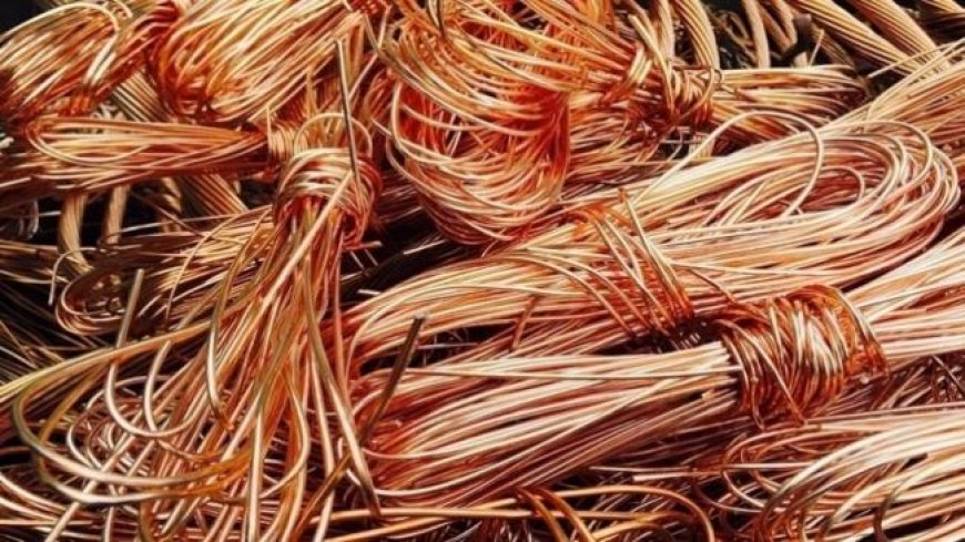 عنابة: ضبط شخص يقوم بحرق كمية معتبرة من الكوابل النحاسية بحي سيبوس