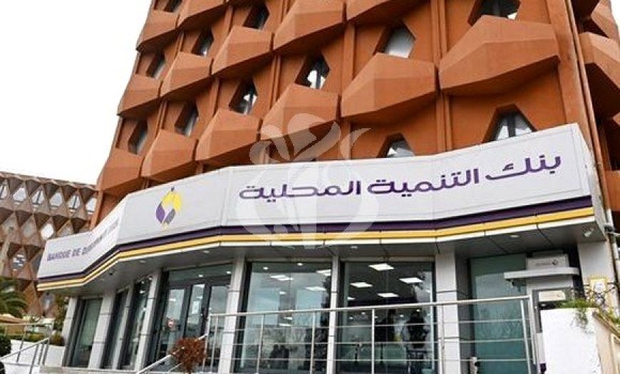  بنك "BDL" يتطلع الى رصد تمويلات تصل الى 100 مليار دج