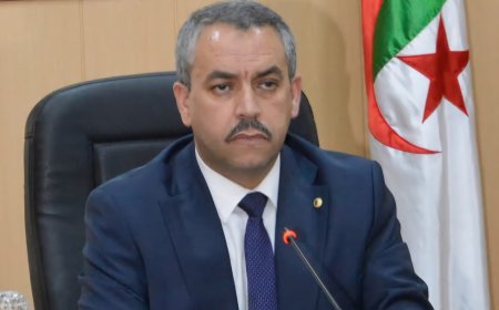 خلال ترأس الجلسة الختامية للندوة الوطنية لتحضير الدخول المدرسي المقبل : سعداوي يؤكد ضمان إعادة إدماج التلاميذ الراغبين في مواصلة الدراسة 